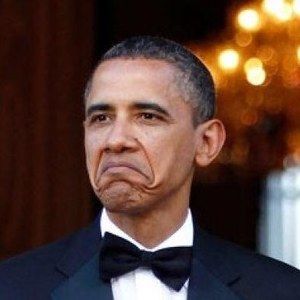 Meet your Posher, Donovan